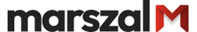 marszal biz logo